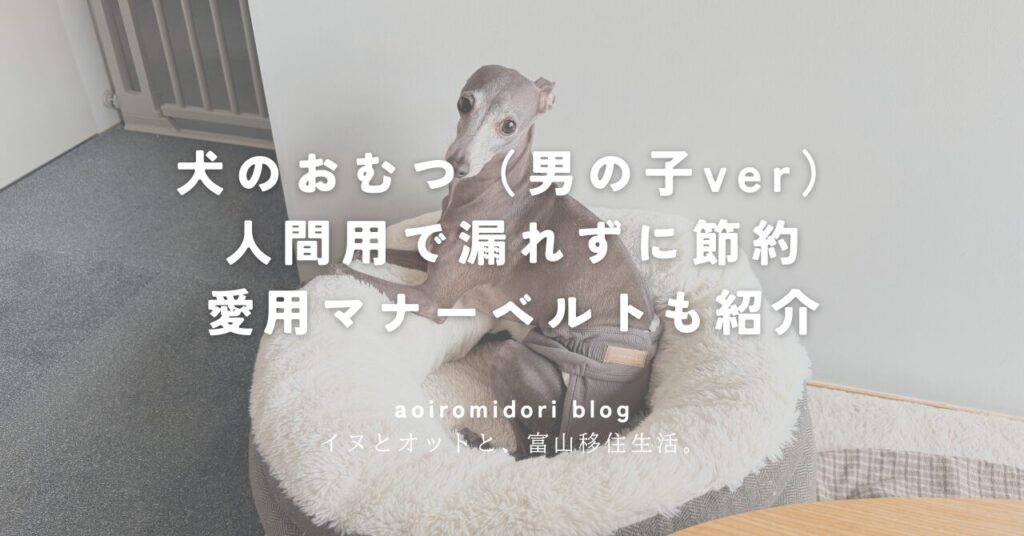犬のおむつ（男の子ver） 人間用で漏れずに節約 愛用マナーベルトも紹介