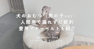 犬のおむつ（男の子ver） 人間用で漏れずに節約 愛用マナーベルトも紹介