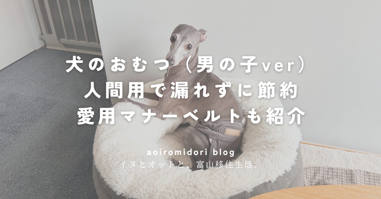 犬のおむつ（男の子ver） 人間用で漏れずに節約 愛用マナーベルトも紹介