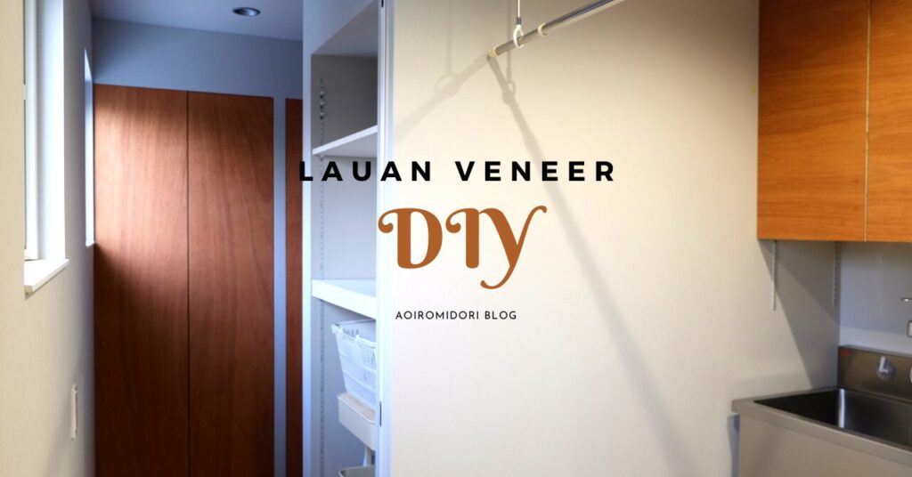 ネイエ設計で建てた注文住宅にDIYで棚の目隠し扉を設置