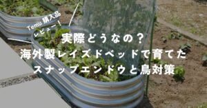 temuで購入したレイズドベッドを使って家庭菜園でスナップエンドウを育てている