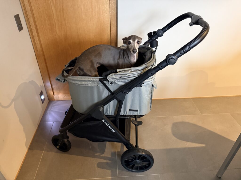 SwiftCart（abaskdesign）にイタグレが乗っている様子