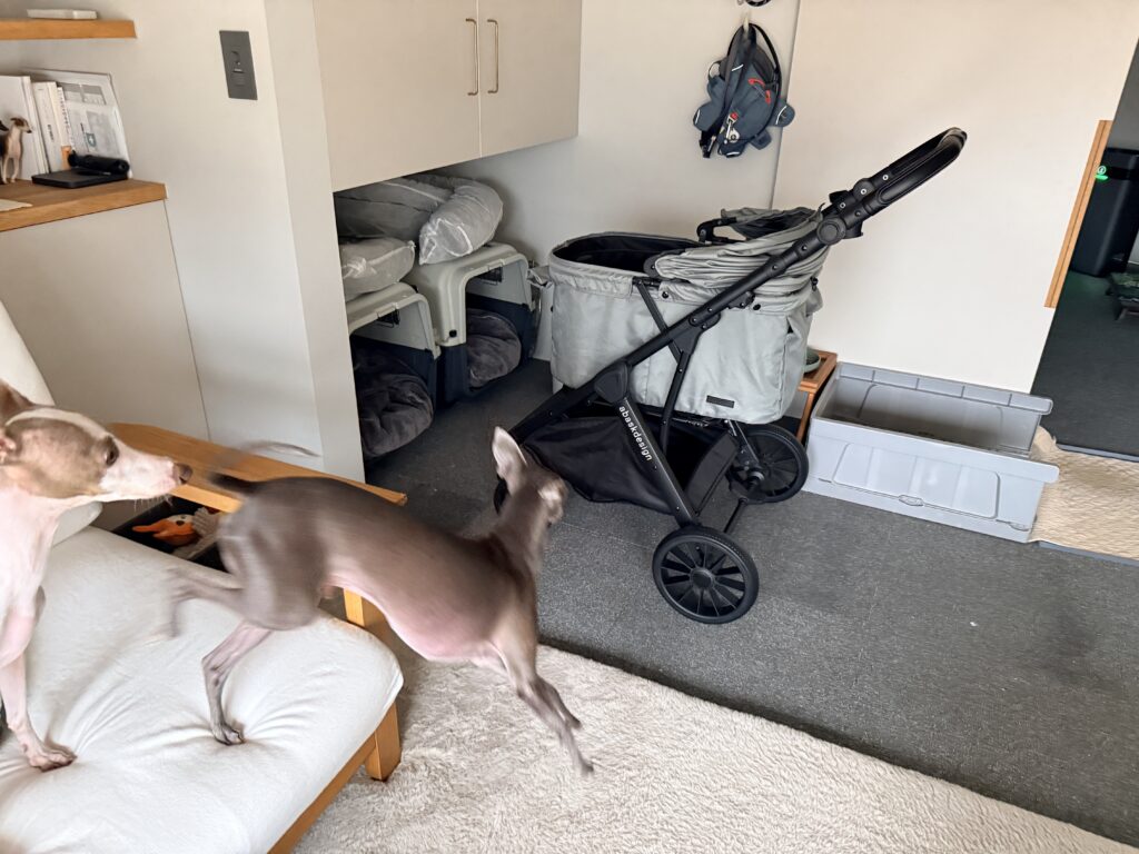 SwiftCart（abaskdesign）のカートトレーニング中