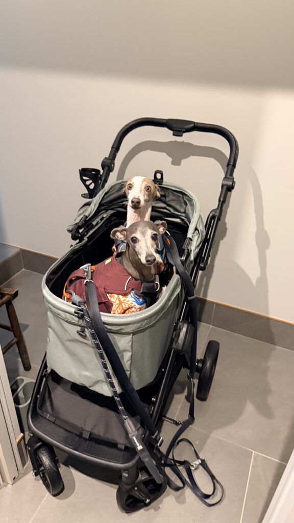 SwiftCart（abaskdesign）にイタグレ２頭が乗っている全体像