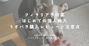 イタグレ２頭とセレホールド（犬用 5.1～10kg）[レボリューションジェネリック]