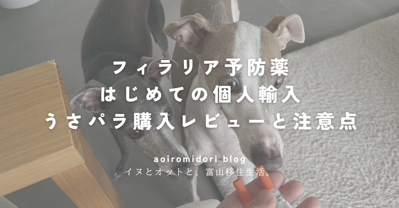 イタグレ２頭とセレホールド（犬用 5.1～10kg）[レボリューションジェネリック]