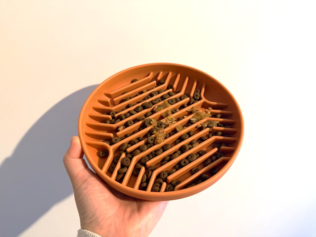 モグワンを早食い防止皿に入れている