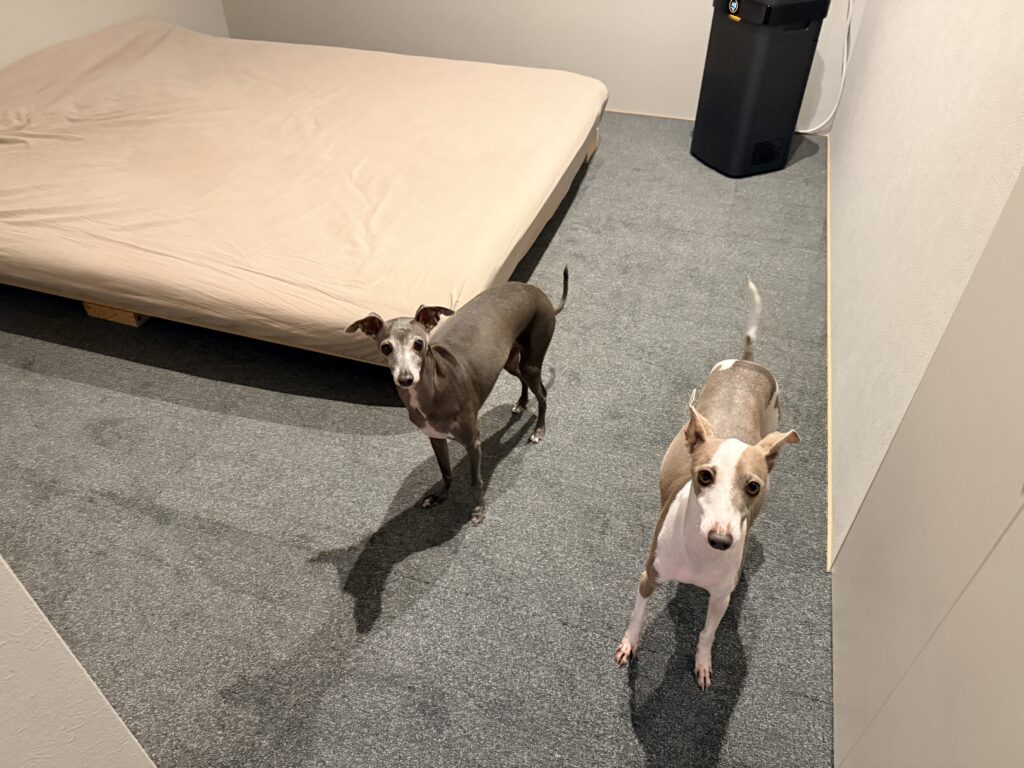 犬の骨折対策用マット